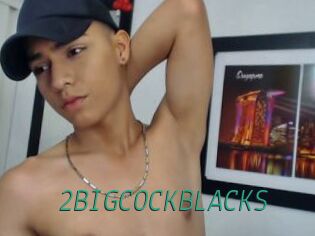 2BIGCOCKBLACKS