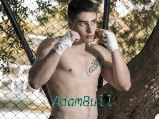 AdamBull