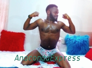 AnacondaExpress