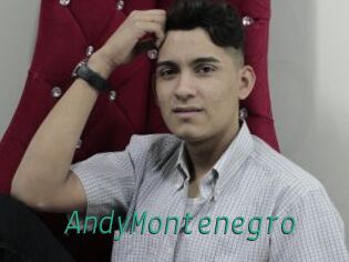 AndyMontenegro