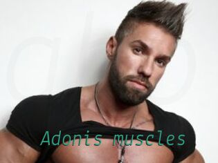 Adonis_muscles