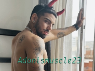 Adonismuscle23