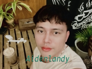 Aidenlandy