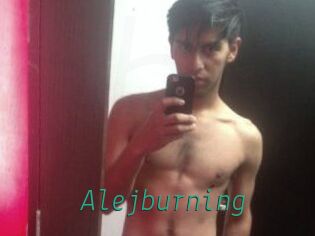 Alejburning