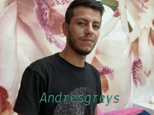 Andresgreys