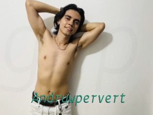 Andruwpervert