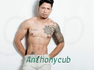 Anthonycub