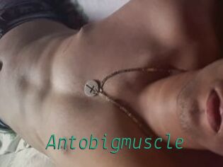 Antobigmuscle