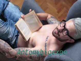 Antonybigexpo