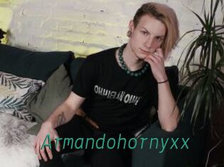 Armandohornyxx