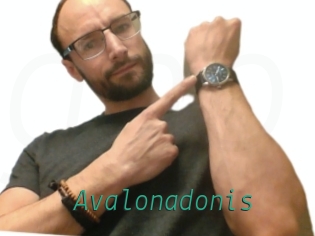 Avalonadonis