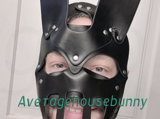 Averagehousebunny