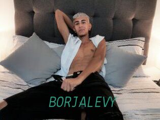 BORJALEVY