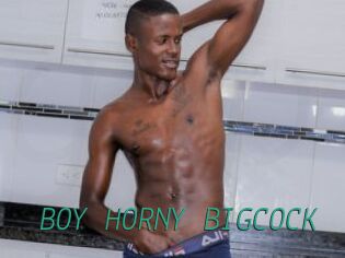 BOY_HORNY_BIGCOCK