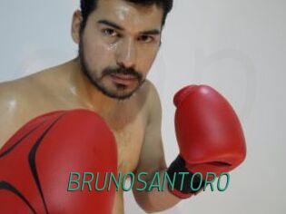 BRUNOSANTORO