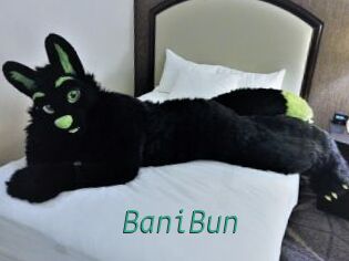 BaniBun