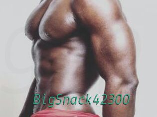 BigSnack42300