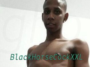 BlackHorseCockXXL