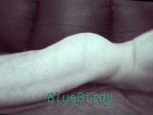 BlueBirdy