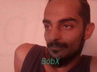 BobX