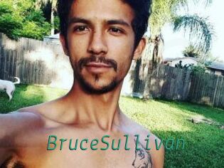 Bruce_Sullivan