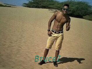 BruceZ