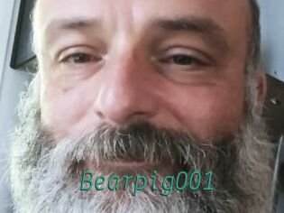 Bearpig001