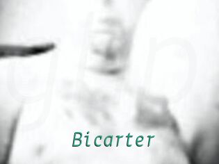 Bicarter