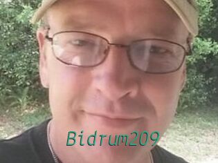 Bidrum209