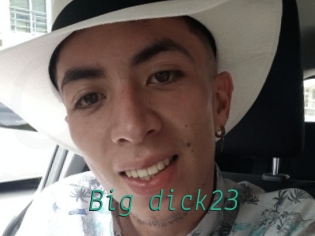 Big_dick23