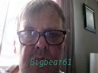 Bigbear61