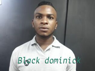 Black_dominick