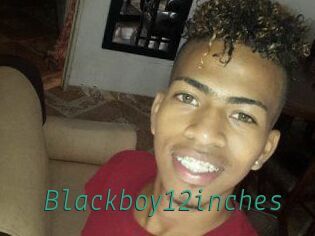 Blackboy12inches