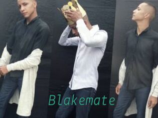 Blakemate