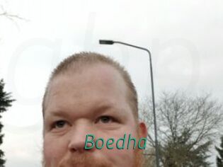 Boedha