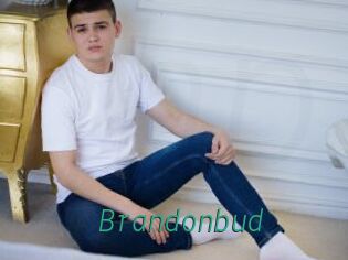 Brandonbud