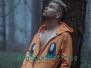 Brandonmorriss