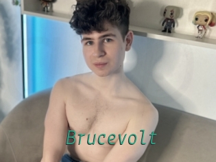 Brucevolt