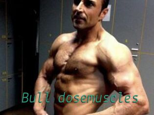 Bull_dosemuscles