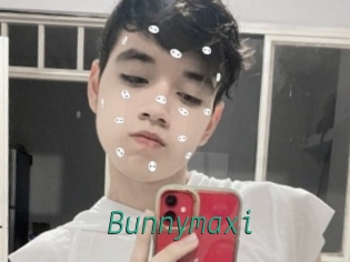 Bunnymaxi