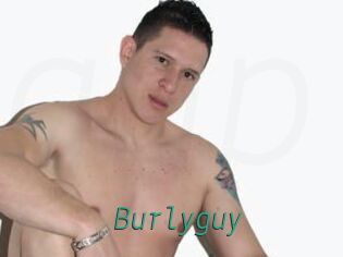 Burlyguy