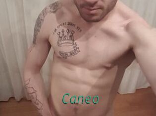 Caneo