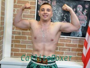 CarlitoBoxer