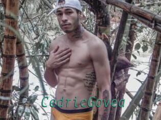 CedricGovea