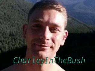 CharleyInTheBush