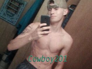 Cowboy201