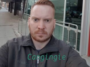 Cangingie