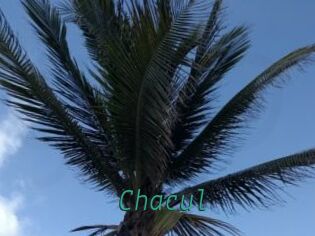 Chacul