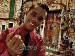 Chamo_brown