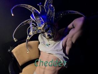 Chedder